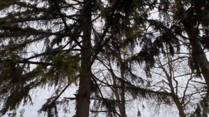 Украина изнутри: город БАР, Винницкая область. Україна зсередини: місто БАР, Вінницька область