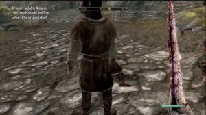 Weird Skyrim Glitch