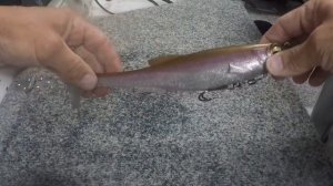 Rigging a Megabass Magdraft with a stinger hook