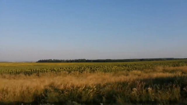 ДОРОГА ДОМОЙ! РОДИНА! РОДНОЙ ДОМ! #like #life #home #родина #дорога #дом #деревня #my #village смотреть онлайн