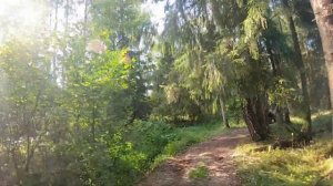 STELS 300 или BRP 650, что лучше? Покатушки на квадроциклах