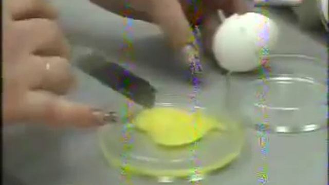 Фальшивые яйца. смотреть онлайн