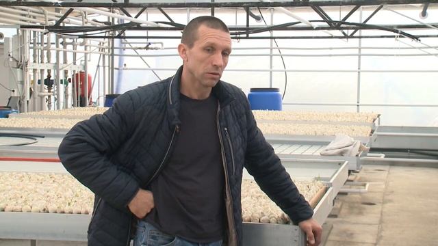 PRO деревню_ уникальная теплица в посёлке Майский