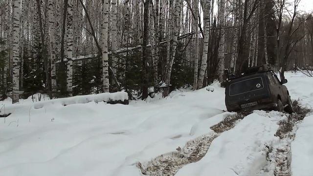 ОСИННИКИ 07 11 2020год