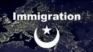 Мировая демография: миграция или исламизация
