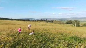 природа Татарстана