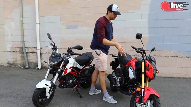 Лицом к лицу: Honda Grom против Benelli TNT135 | LiveFEED смотреть онлайн