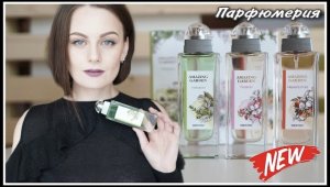 НОВИНКИ ПАРФЮМЕРИИ BROCARD ! ОЧЕНЬ БЮДЖЕТНАЯ ПАРФЮМЕРИЯ НА ВЕСНУ/ЛЕТО! НА КАКОЙ ЛЮКС ПОХОЖИ