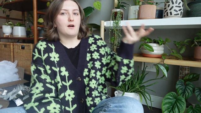 Importing my dream Anthuriums! || Ecuagenera Import, & Acclimation Process! смотреть онлайн