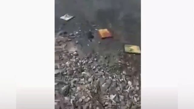 В Греции множество икон вышли из моря…