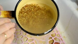 КАША ДЛЯ ПОПУГАЕВ ( Кормление, уборка у попугаев)