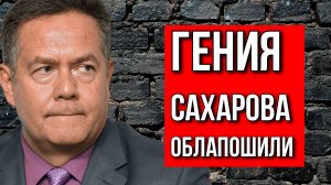 Николай ПЛАТОШКИН | АНДРЕЙ САХАРОВ И ПОЛИТИКА