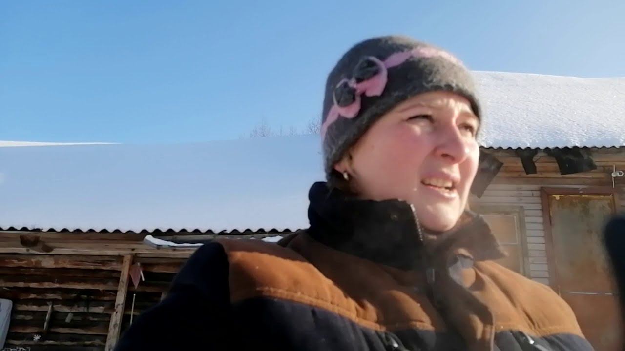 День в деревне.  Как бесплатно получить опилки в курятник...