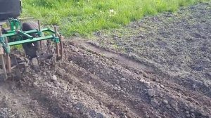 Обработка картофеля ёжиками 2023