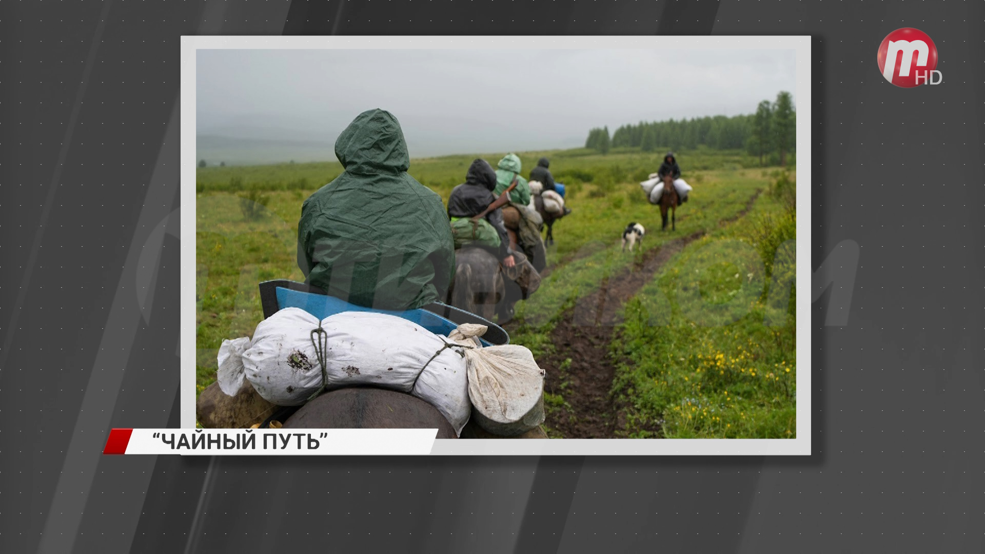 В Бурятии завершилась экспедиция по Великому чайному пути