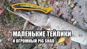 Обзор двух рыбалок в красивейших волжских местах! Волга, Нижегородская область.
