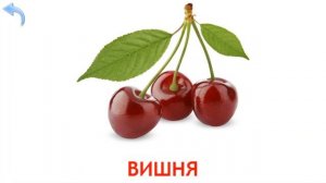 Карточки Домана Часть 9 Ягоды!