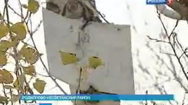 Родионовские пруды в опасности