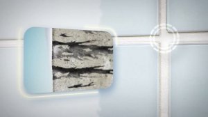 Как бороться с плесенью и грибком внутри помещений?