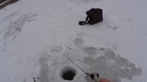 РЫБАЛКА В МОСКВЕ РАЗДАЧА ОКУНЯ В ЛЕФОРТОВО ВЕЧЕРНИЙ КЛЁВ