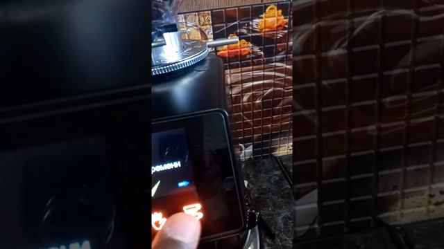 FIORENZATO model F64E. Как научиться работать популярную кофемолку. Инструкция к применению. смотреть онлайн