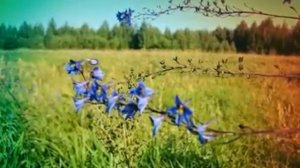 Туда, где не ждали... (Created with @Magisto)