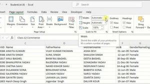 Shrink Data to 1 page | Excel page layout | Bulk data ko 1 page me kaise print karen ???