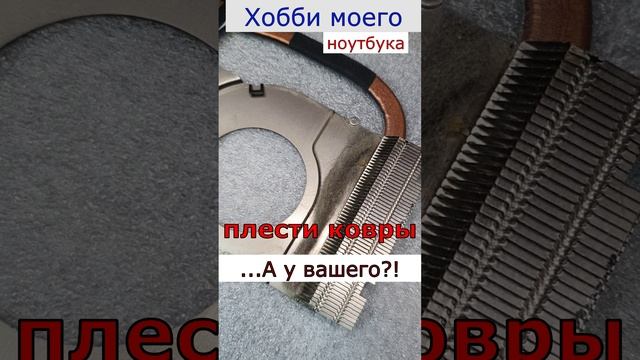 Мой ноутбук плетет ковры. My laptop weaves carpets