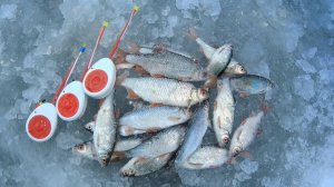 Зимняя рыбалка в Кемерово, Кузнецкий мост,ловля сороги