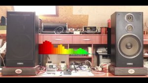 174. Посылка из Китая №4. Усилитель на TPA3116, 100ВтХ2. 08.08.2021