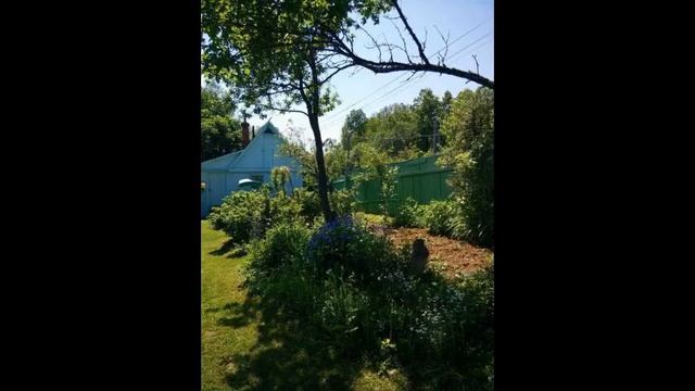 Продается 2х этажная дача 130 кв.м. на участке 12 соток смотреть онлайн