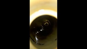 Замена масла в ГУРе Мазда Титан.