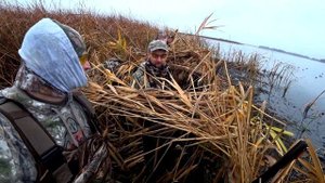 Незабываемая Охота на утку. Охота на море с чучелами махокрылами и духовым манком и надежным псом