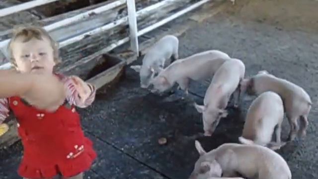 Юный фермер смотреть онлайн