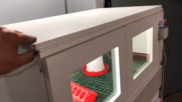 Брудера для цыплят. смотреть онлайн