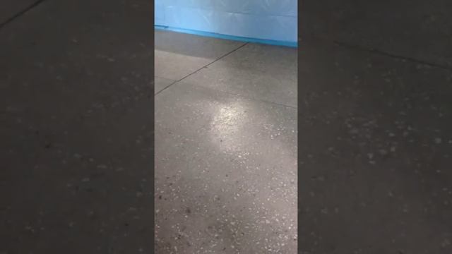 Одели маски,бахилы все как положено! смотреть онлайн