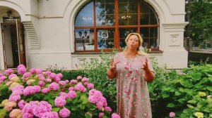 Долгожданное цветение крупнолистной гортензии