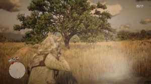 Легендарный бизон ТАТАНКА в Red Dead Redemption 2. Амулет с рогом бизона