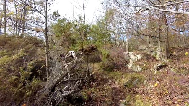 Frontenac Provincial Park | Big Salmon Lake Trail Hike | Frontenac Challenge смотреть онлайн