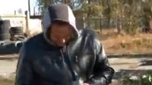 что можно заработать на 20 сотках земли