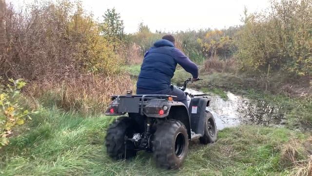 Linhai и маленькая лужа смотреть онлайн