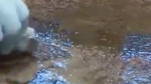 Очиститель камня АКЕМИ