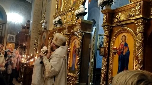 20 ноября 2023 г. смотреть онлайн