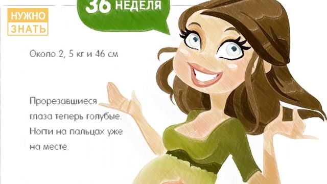 36 неделя беременности. Развитие плода. Что чувствует беременная. Как выглядит ребенок на 36 неделе