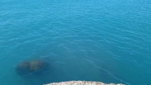 Отдых в Сочи. ГОЛОВИНКА. Отель Империя. Стоит сюда приезжать? Понравился  отель? Читайте под видео!