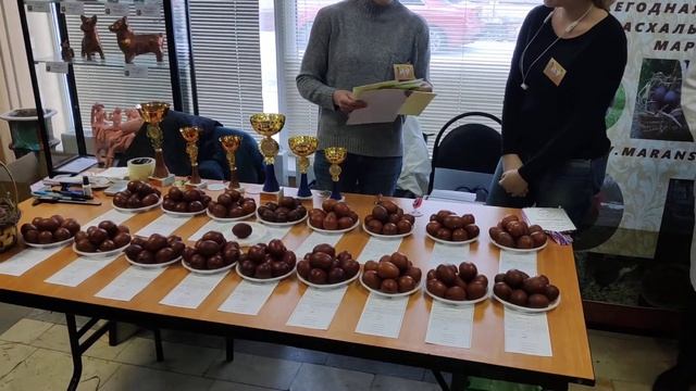 Конкурс яйца Марана «EGGMarans» «Гордость России – 2020» смотреть онлайн
