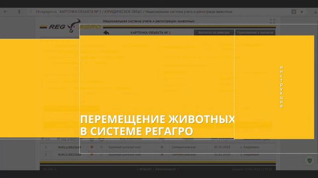 Подробная Инструкция для регистратора