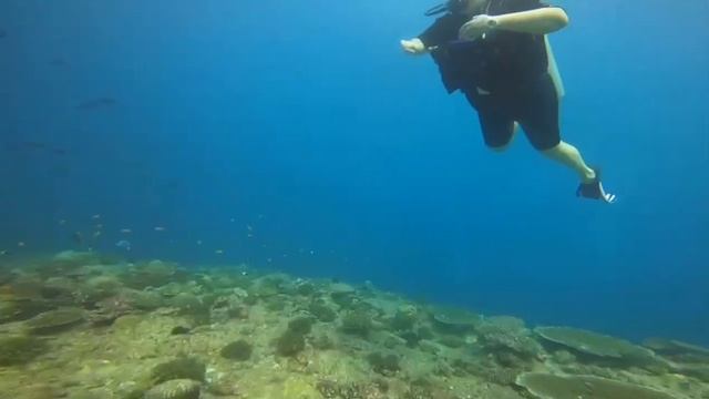 Мальдивы, подводное плавание с аквалангом. смотреть онлайн