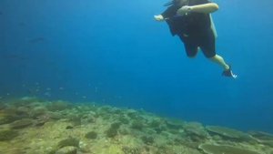 Мальдивы, подводное плавание с аквалангом.