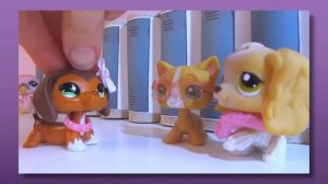 The messed up lore of LPS popular